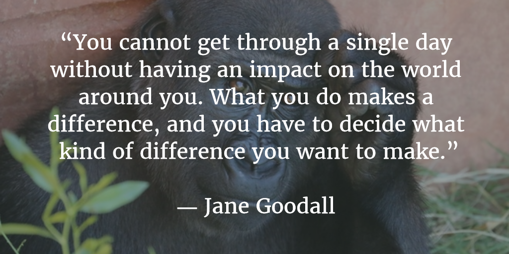 Resultado de imagen de jane goodall what you cannot get you do makes a difference